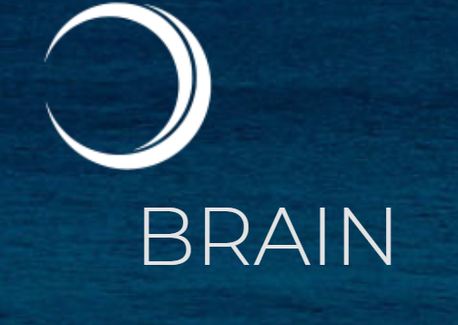 Консалтинговой компании  Brain company (Брейн Компани) – мошенник на рынке Форекс | TrustViper : https://trustviper.com